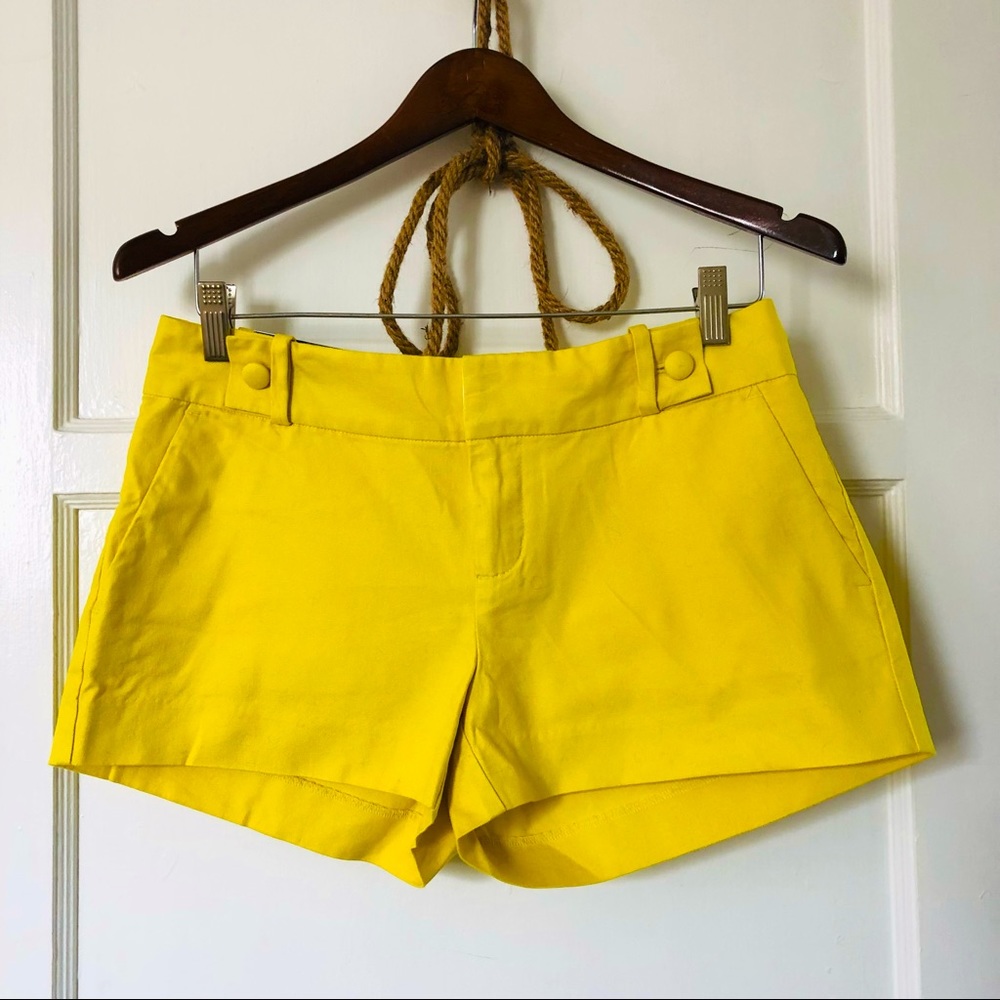 Bright and sunny cotton twill shorts
